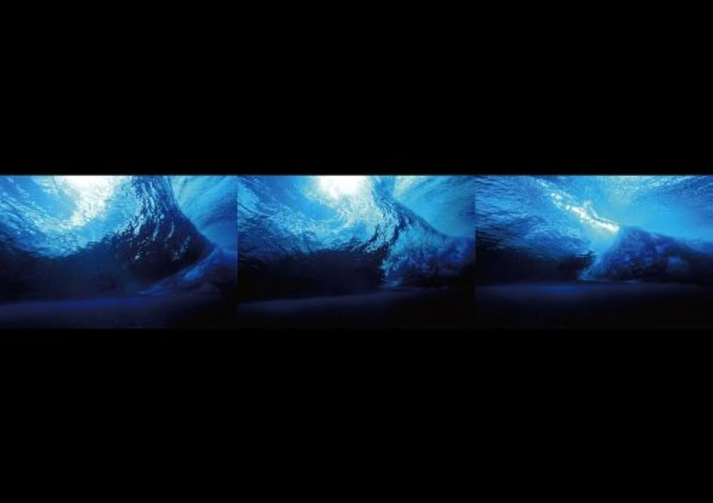 杏橋幹彦　写真集　BLUE FOREST　希少DVDセット BLUE FOREST | 杏橋 幹彦, MIKIHIKO KYOBASHI |本 | 通販 | Amazon