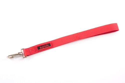 The Jenny Dog Leash for Blind, Elderly and Disabled Pets. NO Falling, Bumping, Being Frightened. They Feel Secure. The Jenny Gives The Owner Total Control Over Dogs Movements. for MED & Large Dogs