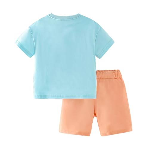 Image of HILEELANG Toddler Girl Summer Short Outfit Sets Cotton Short Sleeve Tops Tees Shorts Clothing Sets