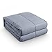 BEASEN Weighted Blanket (15 lbs ,48"x72") For Adult 140-190 lbs Individual,Natural Calm Sleep,Premium Cotton With Hypoallergenic Polyester Padding, Glass Beads,Grey