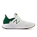 New Balance Men's Fresh Foam Roav V1 Running Shoe, White/Classic Pine/Incense, 11 M
