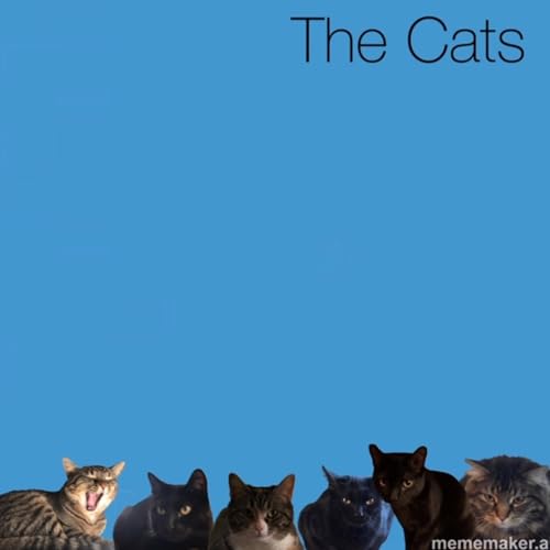 My Name Is Ripley (But It Used To Be T'challa