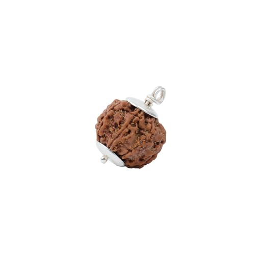 Image of Astrotalk Nepal Origin 7 Mukhi Rudraksha | Attract Wealth & Prosperity | Financial Stability, Peace & Spiritual Growth | Sacred Rudraksha Bead for Women & Men