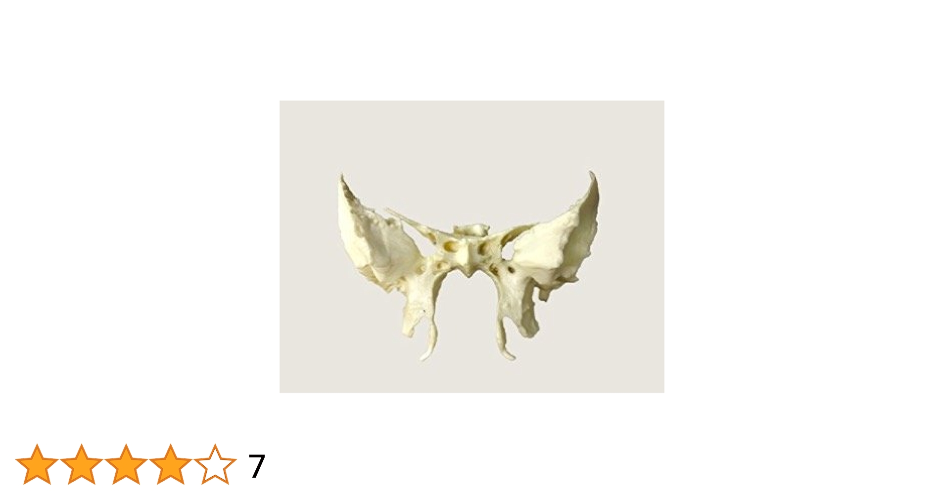 31KXgJp-KML.jpg_BO30,255,255,