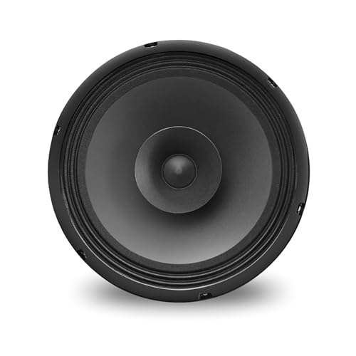 Image of TOYOTONE 10-Inch Full Range Speaker, Dual Cone, 150W RMS, 8 Ohm, Copper Voice Coil, 120x17mm Heavy Magnet - Hi-Fi Audio for Home & Car
