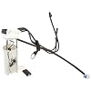 Delphi FG0138 Fuel Pump Module