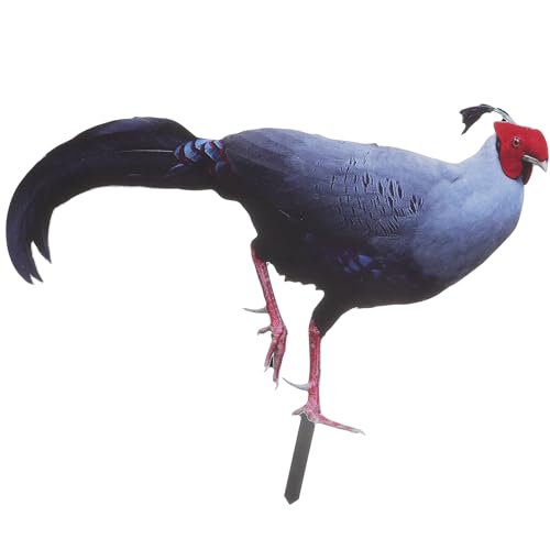 BESPORTBLE Yard Chicken Stake Dekorativer Garten-hühnerschild-Stake Acryl-Einsatz Für Modernes Outdoor-