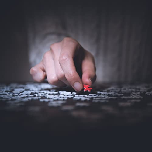 L'ultimo pezzo del puzzle