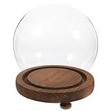 Cloche à fleurs – cette élégante cloche de bureau est parfaite pour la décoration intérieure, pleine de nouveauté et de beauté. cloche ronde en verre