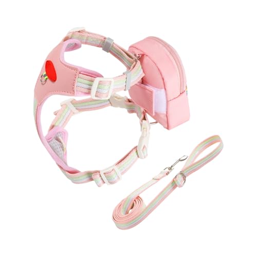 Arnés de chaqueta para perros | Accesorio para mascotas transpirable y reflectante | Set de arnés y correa para cachorros | Para perros y cachorros de todos los tamaños para paseos deportivos Randonn