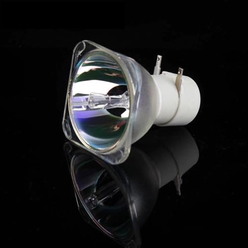 Ampoule pour projecteur BenQ 5J J6D05.001 de rechange pour vos cours