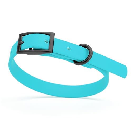 Image of Dogline Biothane Waterproof Dog Collar Strong Coated Nylon Webbing with Black Hardware Odor- Proof for Easy Care Easy to Clean High Performance Fits Small Medium or Large Dogs, Sky Blue