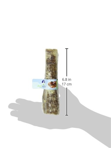 Barkworthies Beef Trachea Chew For Pets, 6-Inch #TOP2
