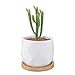 Mkono 3.5 Inch White Ceramic Succulent Plant Pots with Bamboo Tray Small Cactus Planter Simple Flower Pots with Drainage Holes, Set of 3
