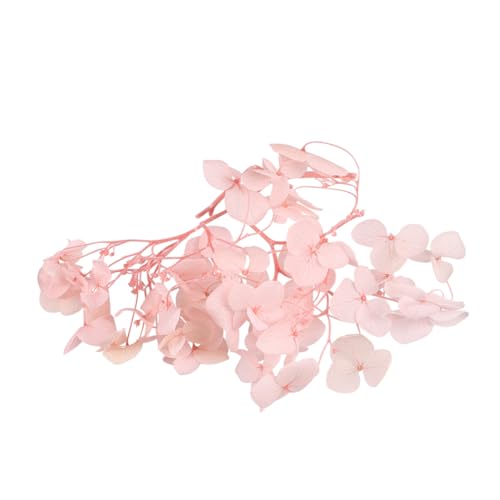 Pétalos secos naturales Hydrangea rosa para manualidades