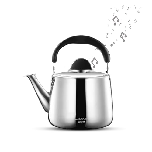 Tea Kettle, 18/8 Stainless Steel Whistling Teapot, 6 Quart, Fast Boiling, Heat Resistant Handle (6L,Silver)