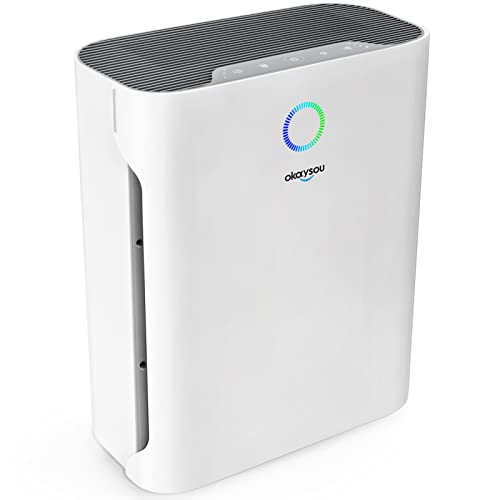 Okaysou Air Purifiers for Home Large Room