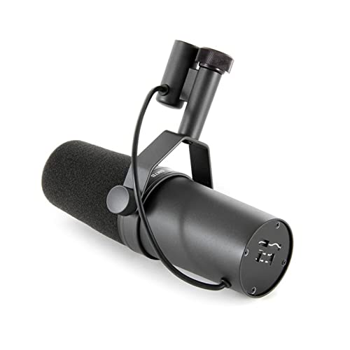 Microphone cardioïde dynamique de studio pour animateur et streaming