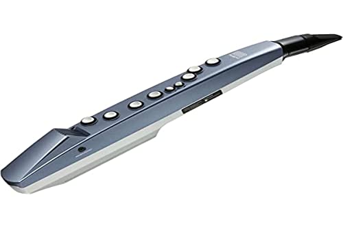 Roland AE-01 Aerophone mini — Instrumento de viento digital con seis fantásticos sonidos para explorar diversos estilos musicales