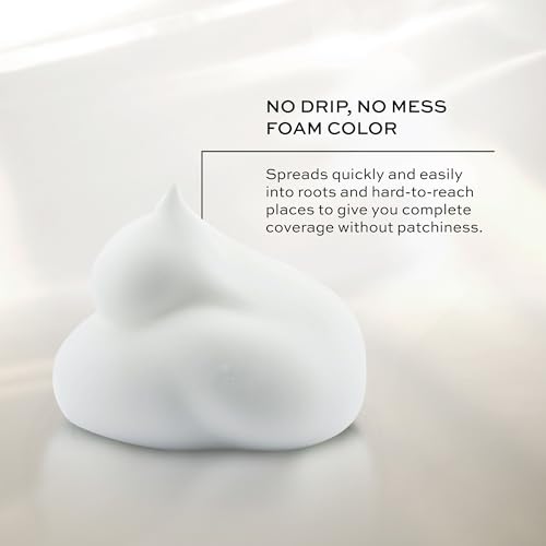 John Frieda Precision Foam Colour, Blue Black 2A