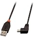 Produktbild Lindy 31972 - USB 2.0 Kabel Typ A Stecker / Mini-B 90° gewinkelt - 2m