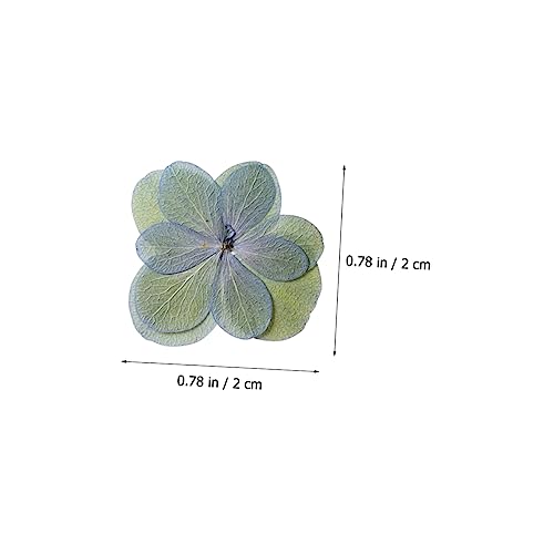 30 piezas flores secas prensadas multicolor para manualidades miniatura 6