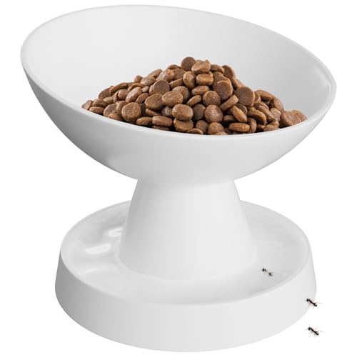 Pawinner Raised Ceramic Cat Bowl