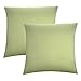 biberna 0077144 Fodera per Cuscino, Cotone Pettinato, Morbidissimo Jersey fine, Morbido, Verde Pistacchio, 2x 40x40 cm