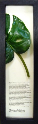 AWAAnCA~jA[g CeAA[g Ǌ| Xe uE