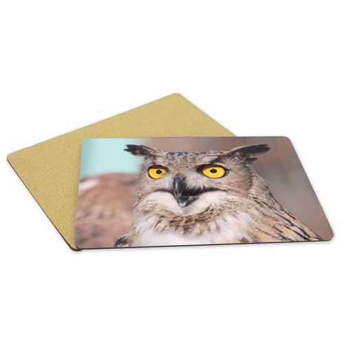Set de table hibou grand duc en liège grand format x4