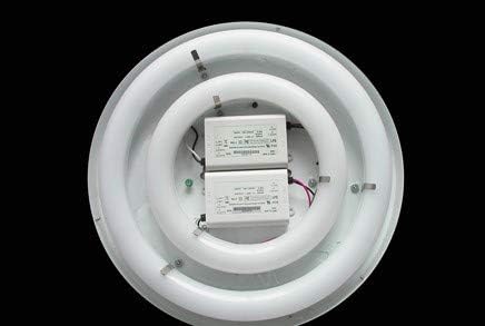 ETL Listed 8" T9 LED Circline 11W Day Light 5000K Frosted Lens with Non-Dimmable External Power Driver to Replace 8 inch 22W Fluorescent Circline Bulb