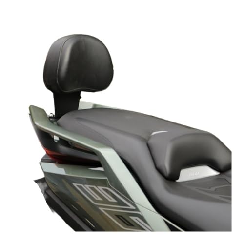 Accessoires protection ZONTES 368G dossier passager moto arrière