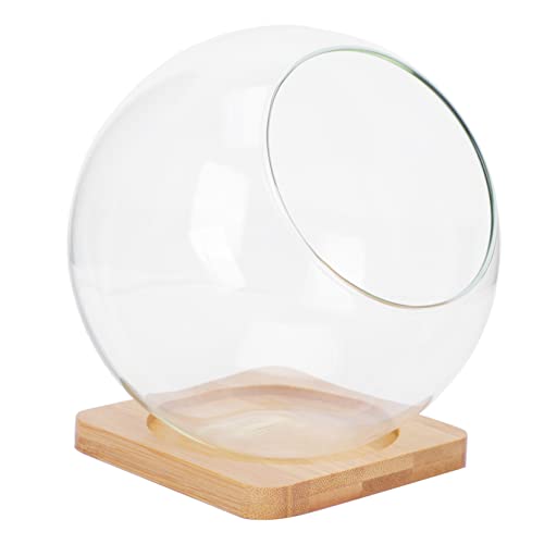 Happyyami Juego De Jarrones De Vidrio para Suculentas Diseño Transparente y Apertura Diagonal, Maceta De Cristal De 13.5x13.5 Cm Soporte De Bambú para Decoración del Hogar y Organización Funcional