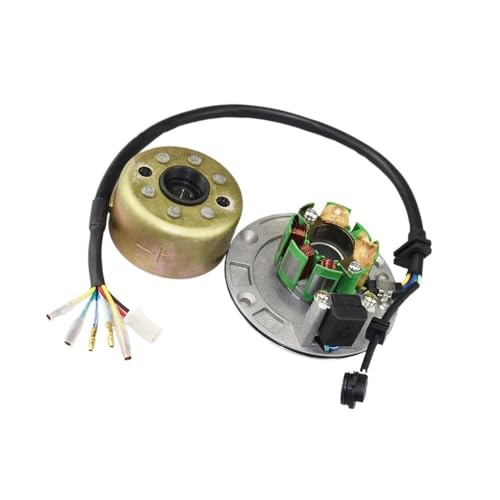 Rotor de estator directo para encendido rápido de Pit Bike W150 155cc 2