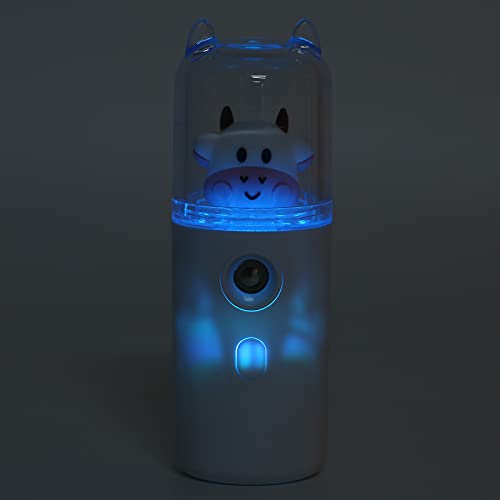 Gesichtsmister Nano Spray, Mini Handliche Feuchtigkeitsspray Mister Gesichtsdampfer Nebel Schönheit für Gesicht täglich Make up Hautpflege Mist Sprühgerät USB Handliche 30ml