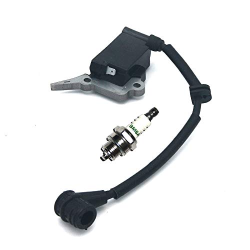 P SeekPro Bobina di accensione con Candela BM6A