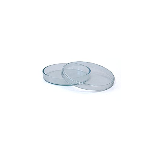 100 x Petrischale 60x12mm aus Kalk-Soda-Glas ohne Nocken - bis 135°C im Autoklaven sterilisierbar - Petrischalen, Kulturschale, Agar Agar Schale, Zellkulturschale, Kulturschalen, Agar Agar Schalen, Zellkulturschalen
