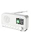 OiDiPi DAB Radio mit Bluetooth, wiederaufladbares UKW-Digitalradio, Radios batteriebetrieben, tragbares DAB+ Radio, Küchenradio mit 80 Voreinstellungen, 2,4-Zoll-Farbdisplay, Dual-Wecker, Sleeptimer