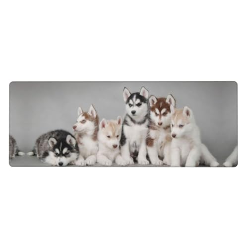 Lovely Dogs Tapis de souris extra large en caoutchouc pour clavier 30,5 x 80 cm Convient pour le bureau, les jeux et l'apprentissage