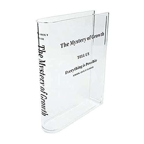 Jarrón acrílico transparente – Jarrón acrílico estético, jarrón acrílico decorativo con sabor cultural para decoración única del hogar