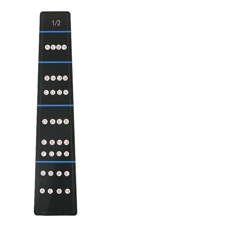 oCIANZT[Zbg oCISҗKsAm|WVXP[XebJ[ANZT[(1/2,ONE)