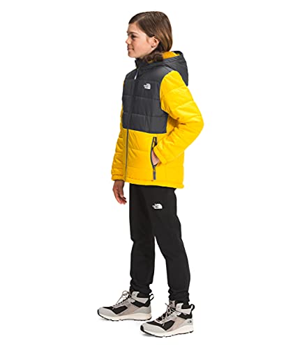THE NORTH FACE Boys' Reversible Mount Chimbo Full Zip Hooded Jacket, Lightning Yellow, Small4