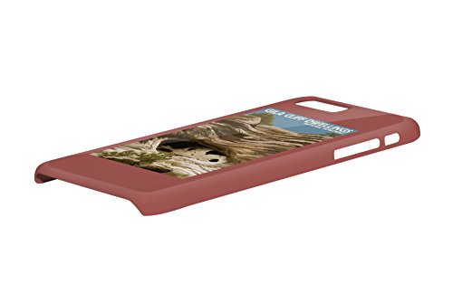 Gila Cliff Dwellings National Monument, New Mexico...