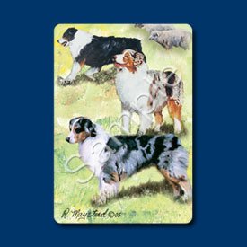 Australian Shepherd Spielkarten