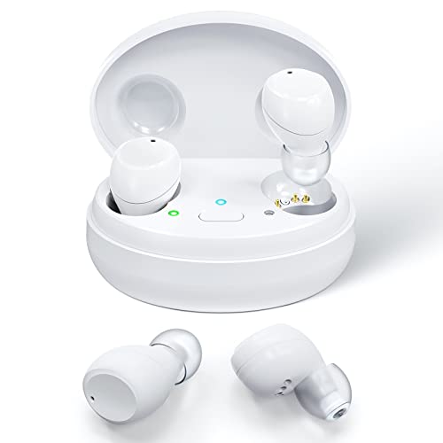 Ibstone Rechargeable Hearing Aids For Seniors Adults With Portable Dryer Case, Otc Digital Devices For Super Nature Sound, 4 Programs For Optimal Hearing Experience #TOP3