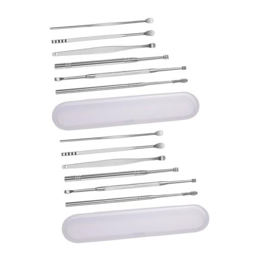 Gogogmee Stainless Steel Ear Wax Spoon Kit 2 Pieces Ear Cleaning Tools for Boys and Girls Adults to Use Box