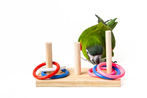 Educational-Wooden-Parrot-Toy-with-Colourful-Rings-Cockatiel-Bird-Toys-for-Parakeets-Large-Conure-cuttlebone-Birds-Treats-Mazuri-Tortoise-Diet-Millet-Spray