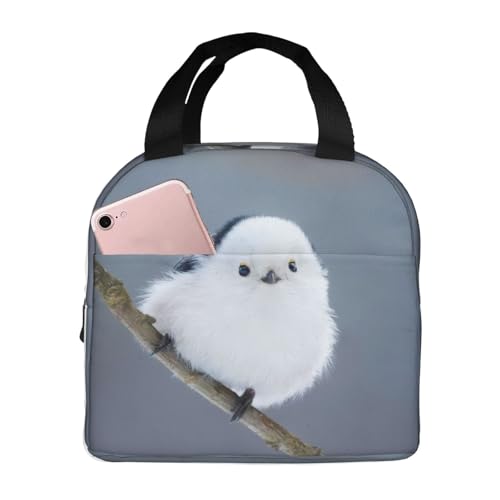 `obO V}GiK  ۗ ۉ ٓobO  RpNg O|Pbgt ~jg[gobO p肳obO fB[X Y ʋ ʊw s fB[X Y qp