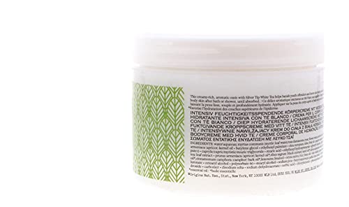 Origins by Origins A Perfect World Intensely Hydrating Body Cream with White Tea - 6.7 oz/ 200 ml