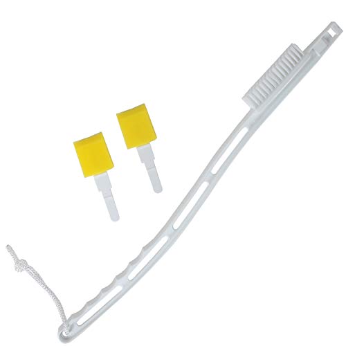 Trenton Gifts Foot Cleaning Scrub Brush with Long Handle and 2 Sponges (25”)
